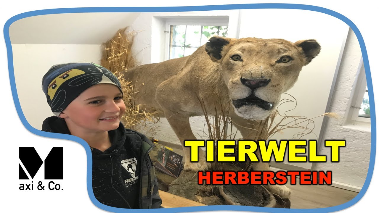 Tierpark Herberstein 2021 Tierwelt - Ausflugsziele &Ouml;sterreich