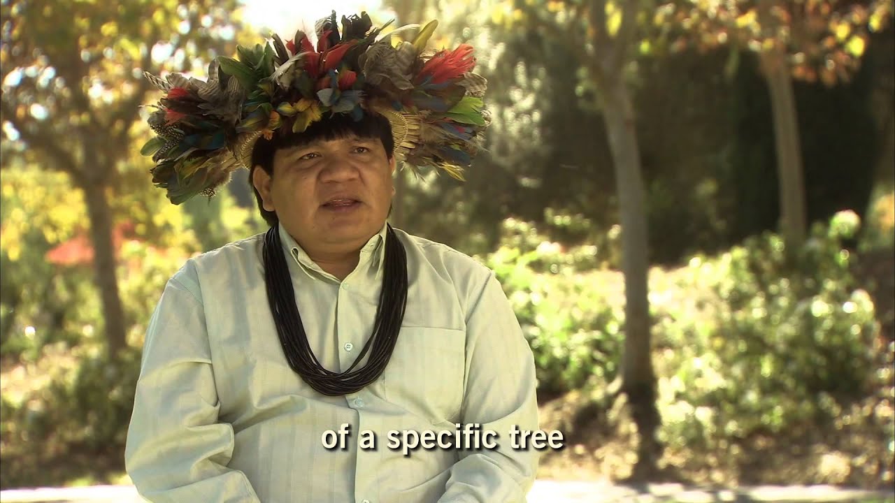 Surui Forest Carbon Project - Community Forest Monitoring