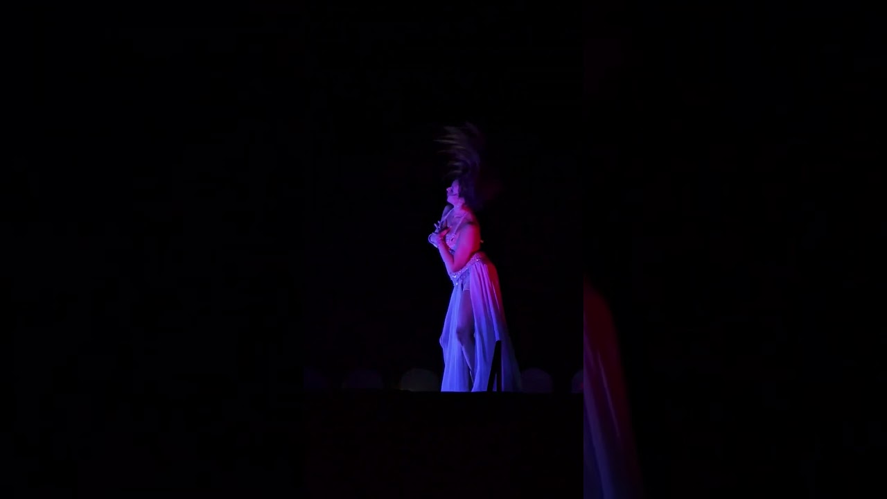 Bellydance in Dubai #bellydance #bellydancer #dancer #dance #oriental #belly #show #performance