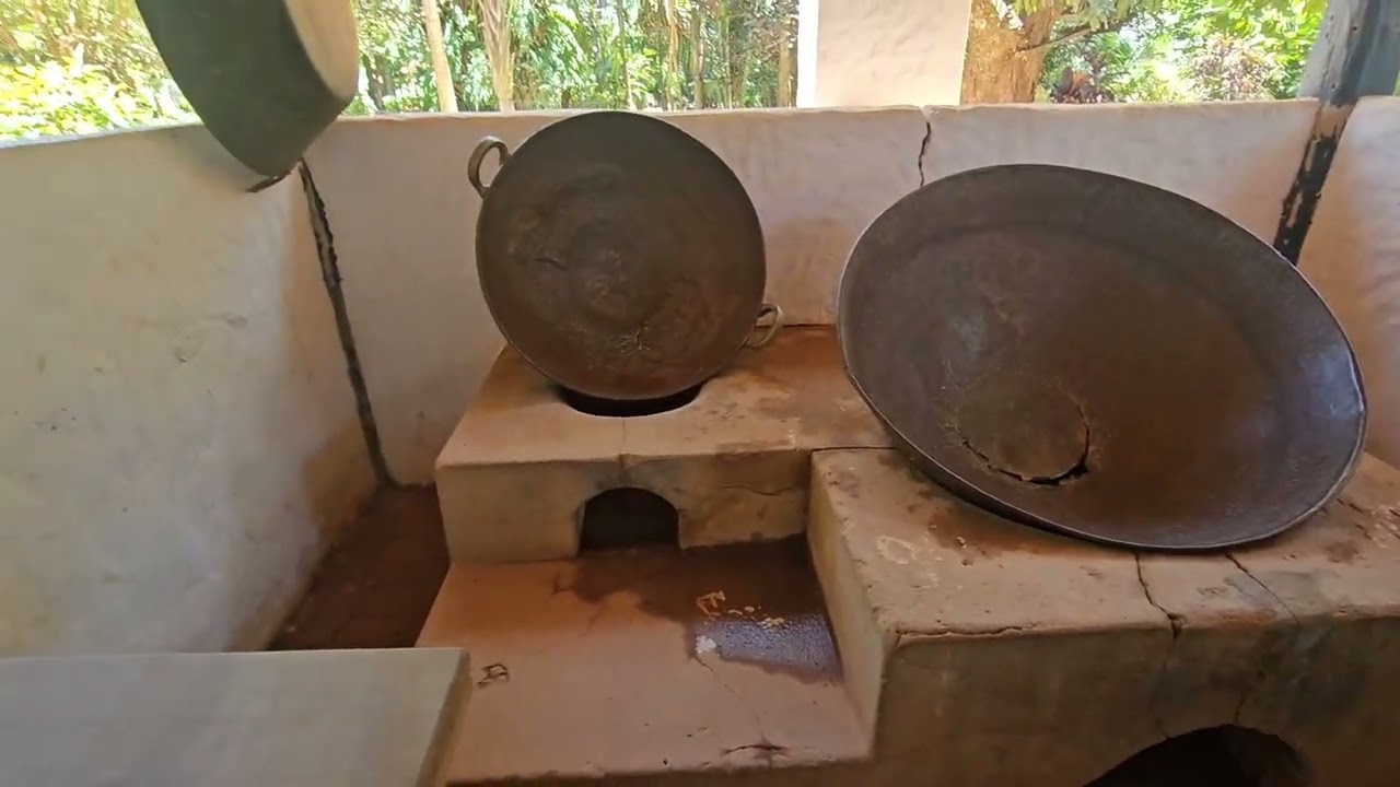 Visita ao Jardin Japonês e a Casa Goiana 