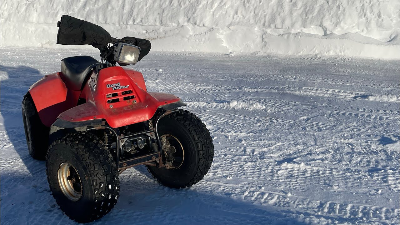 1985 Suzuki Quadrunner 185