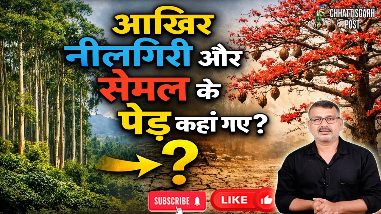 नीलगिरी और सेमल के पेड़ आखिर कहाँ गायब हो गए | Manish Kumar | Chhattisgarh Post