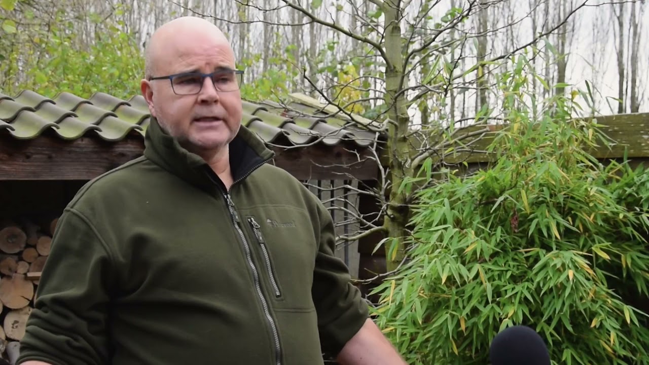 Hoe help je Egels in de tuin? - Egelsnelweg - Winterslaap Egels