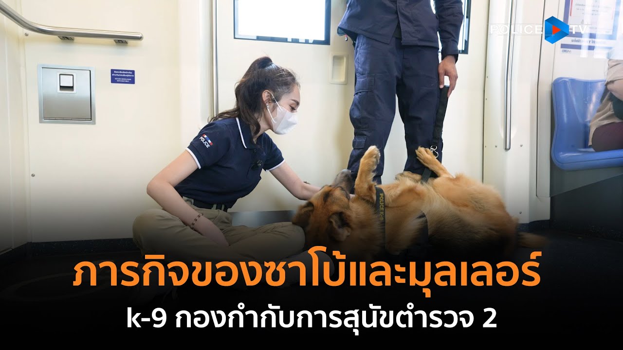 สกู๊ป ภารกิจของซาโบ้และมุลเลอร์ k 9 กองกำกับการสุนัขตำรวจ EP.2