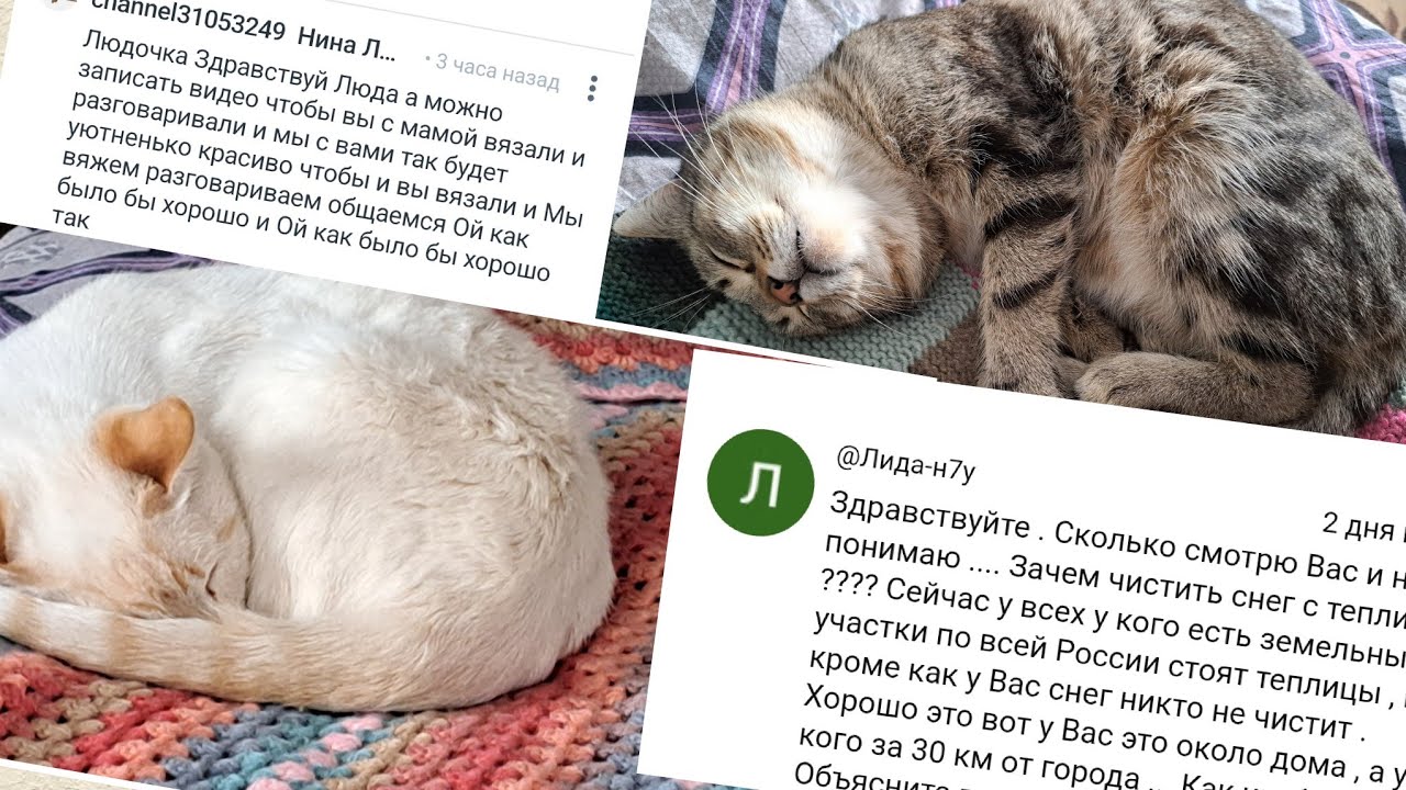 20-21.01.26 г. Зачем чистить снег с теплицы?!..мы подумаем , но не обещаем