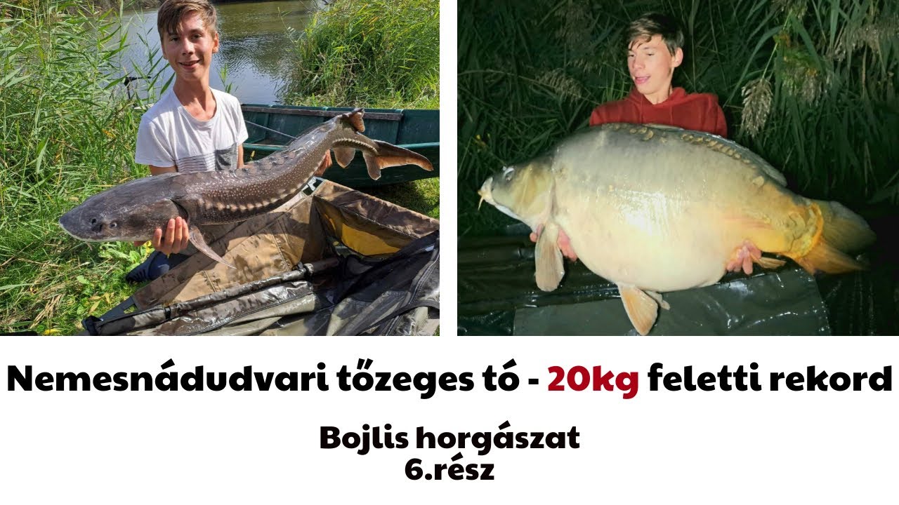Nemesnádudvari tőzeges-tó - 20kg feletti rekord a tőzegbányából | Bojlis horgászat 6.rész 