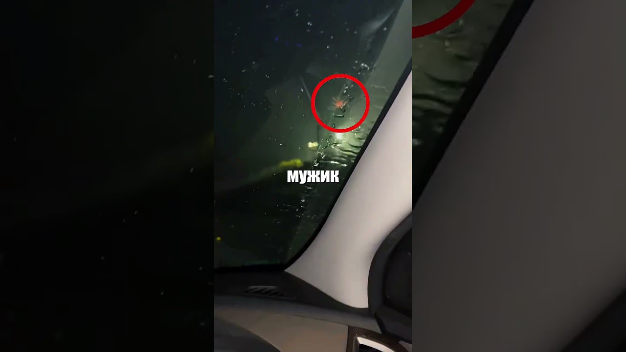 Мужик офигел от лёгкого удара стекло треснуло! 😳🪟💥