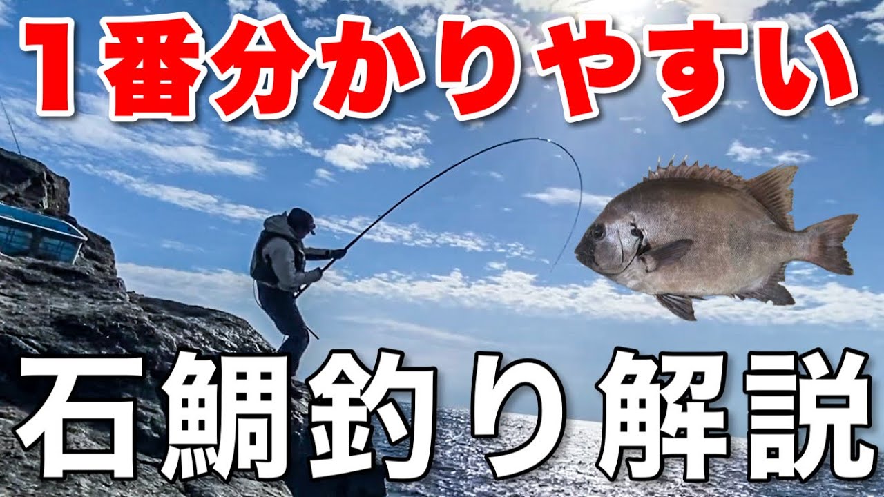 【石鯛釣り】20万で底物タックル揃えたので釣り方を解説する