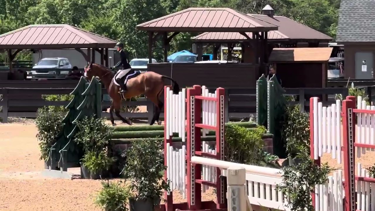 1. Catch ride- Young horse, Charlie Brown- Children's 3' -July 2024