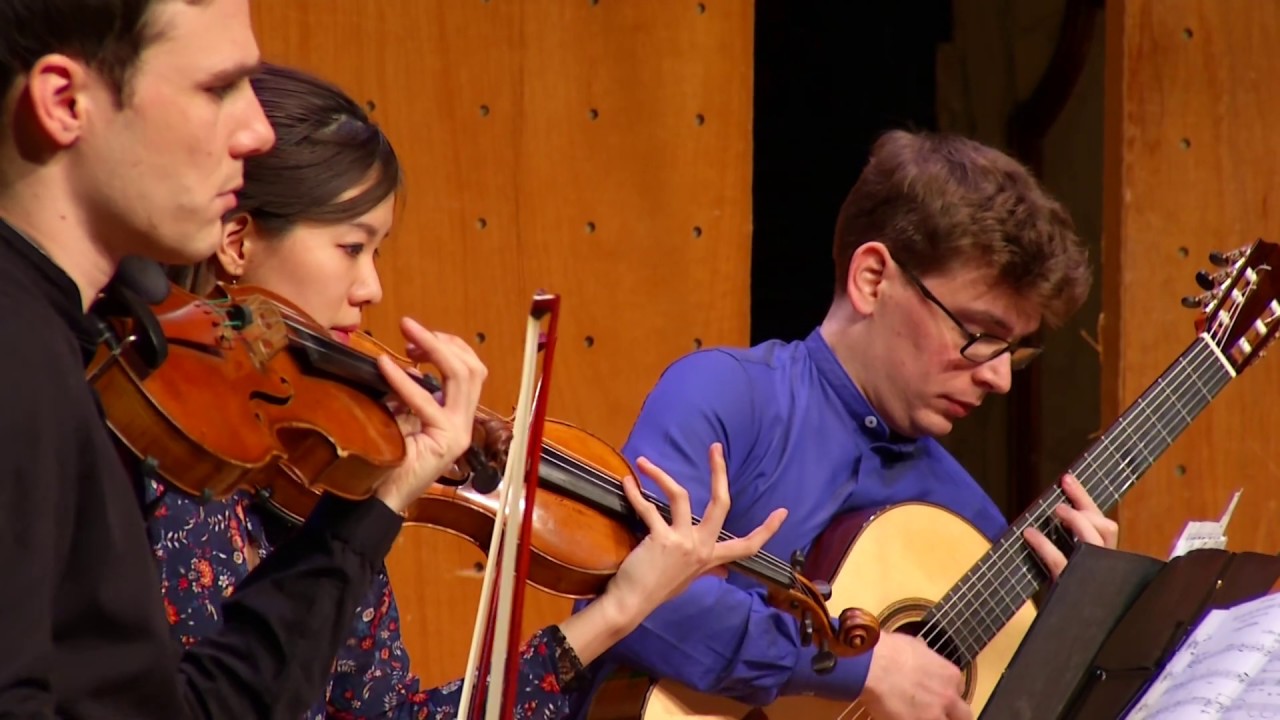 Leo Brouwer: El Arpa del Guerrero - guitar & string quartet
