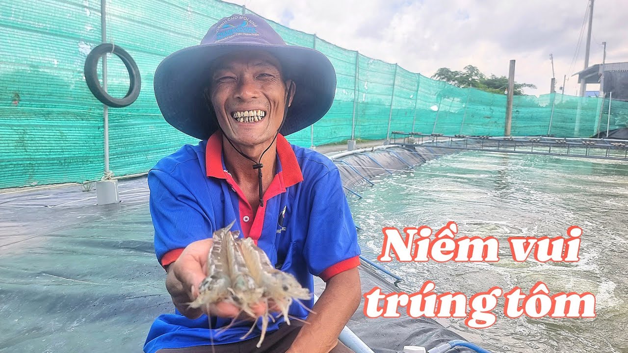 Trúng tôm nhờ áp dụng đúng quy trình kỹ thuật