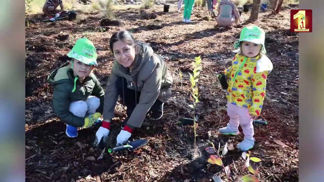 Tree Plantation to Conserve Nature
