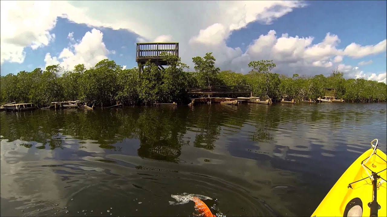 Key Largo, Florida Keys-Kayaking at John Pennekamp's paddling trails.