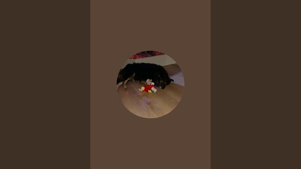 StaceyWhoofsVariety is live
