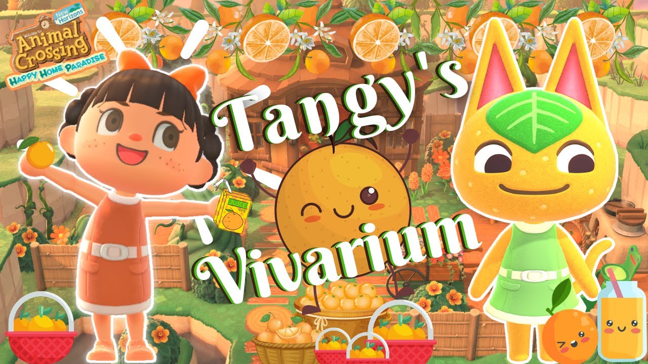 FUN in the SUN with TANGY | Let's Build a Vivid Vivarium for Tangy!