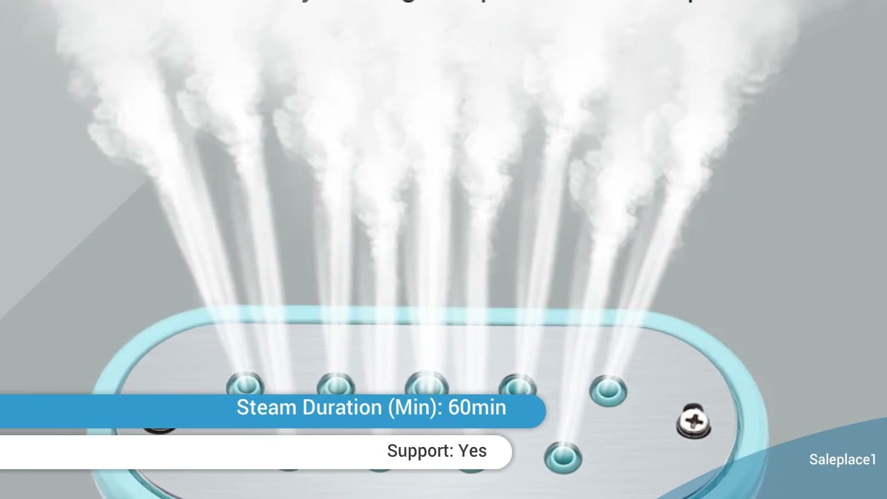 Electric Garment Steamer 2024