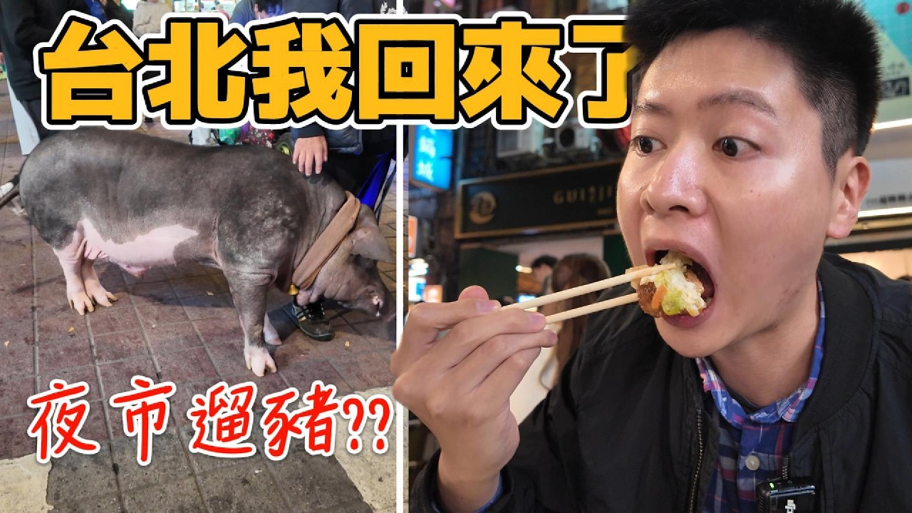 我回台北了，竟然有人在夜市遛豬?日本人必逛的衣服?華泰Outlet/馬辣火鍋/中山/寧夏夜市
