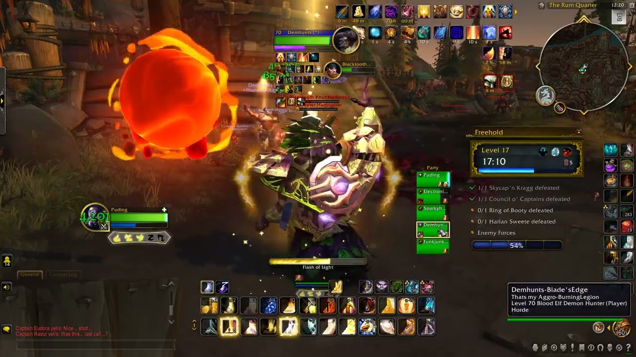 Caster Holy Paladin - Crit Build