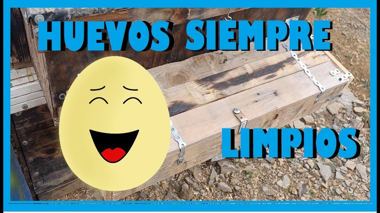 🥚Ponedero Para Gallinas: Huevos SIEMPRE LIMPIOS  y evitamos QUE SE COMAN LOS  huevos🥚🐔