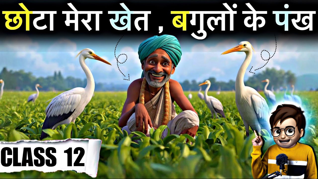 Chota Mera Khet aur Bagulo ke Pankh class12 / Animation / Hindi Aroh Chapter 10 / Summary 