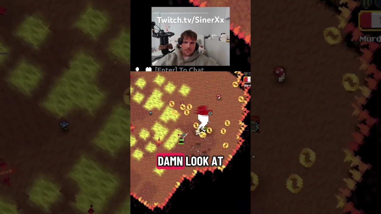 My dog putting in work 