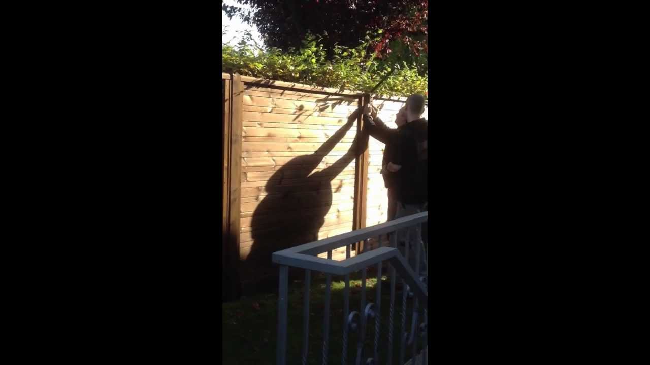 Katzennetze Montage an einem Gartenzaun