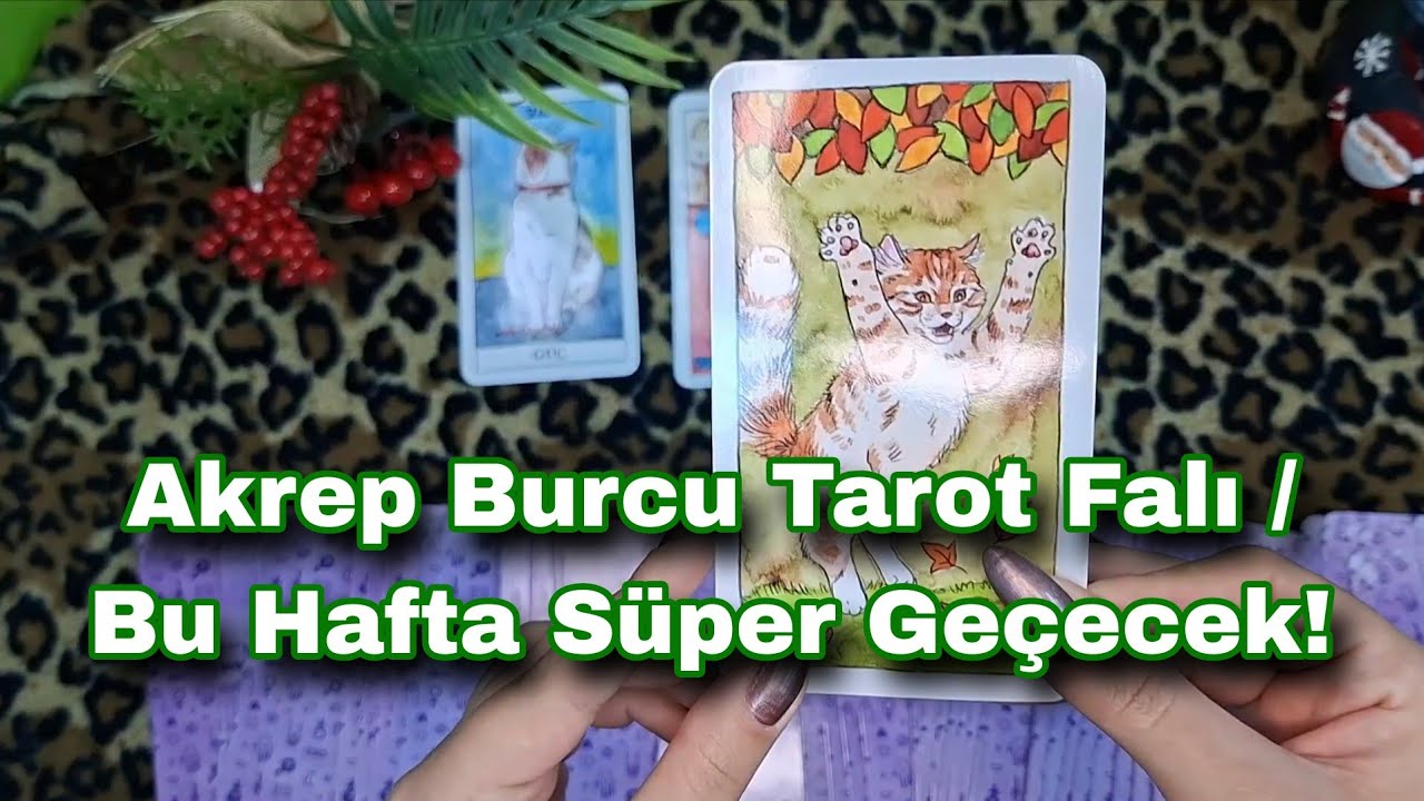 Akrep Burcu Tarot Falı / Bu Hafta Süper Geçecek! #tarotfalı #tarot #tarotreading #fal  #akrepburcu