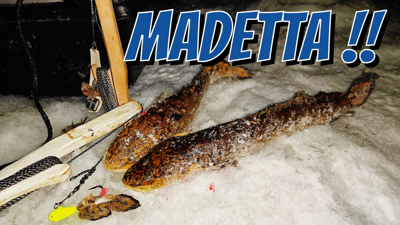 MADETTA!! #KALASSA 111