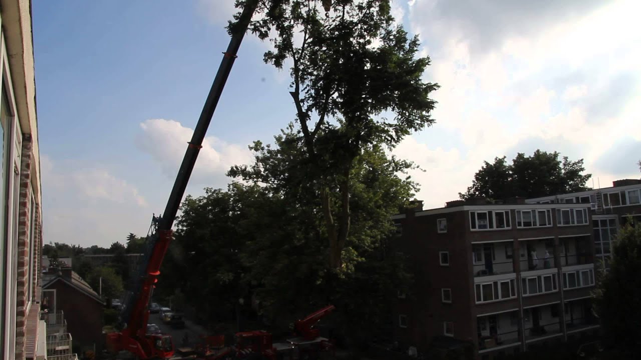 Stormschade opruimen