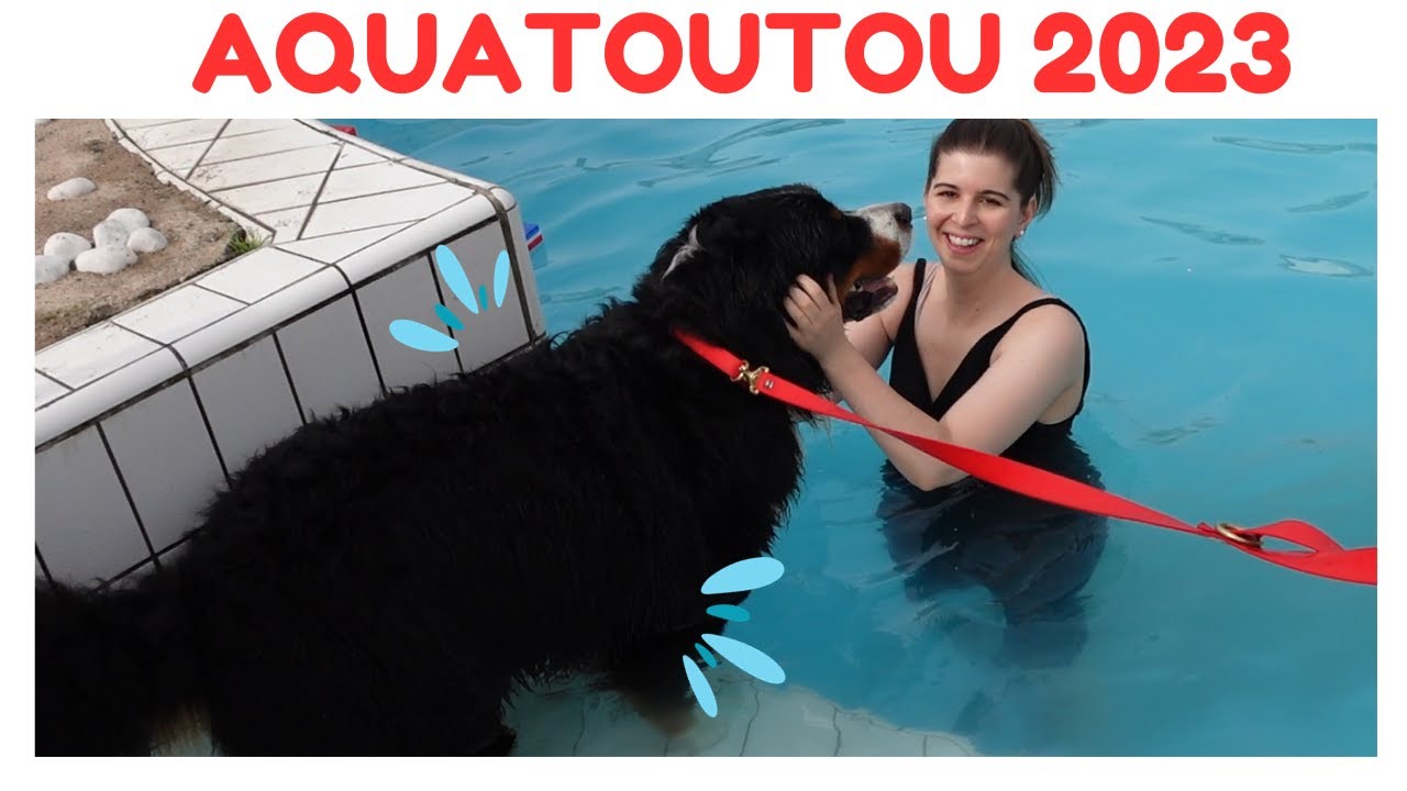 J'emmène mon chien bouvier bernois à AQUATOUTOU 2023 !