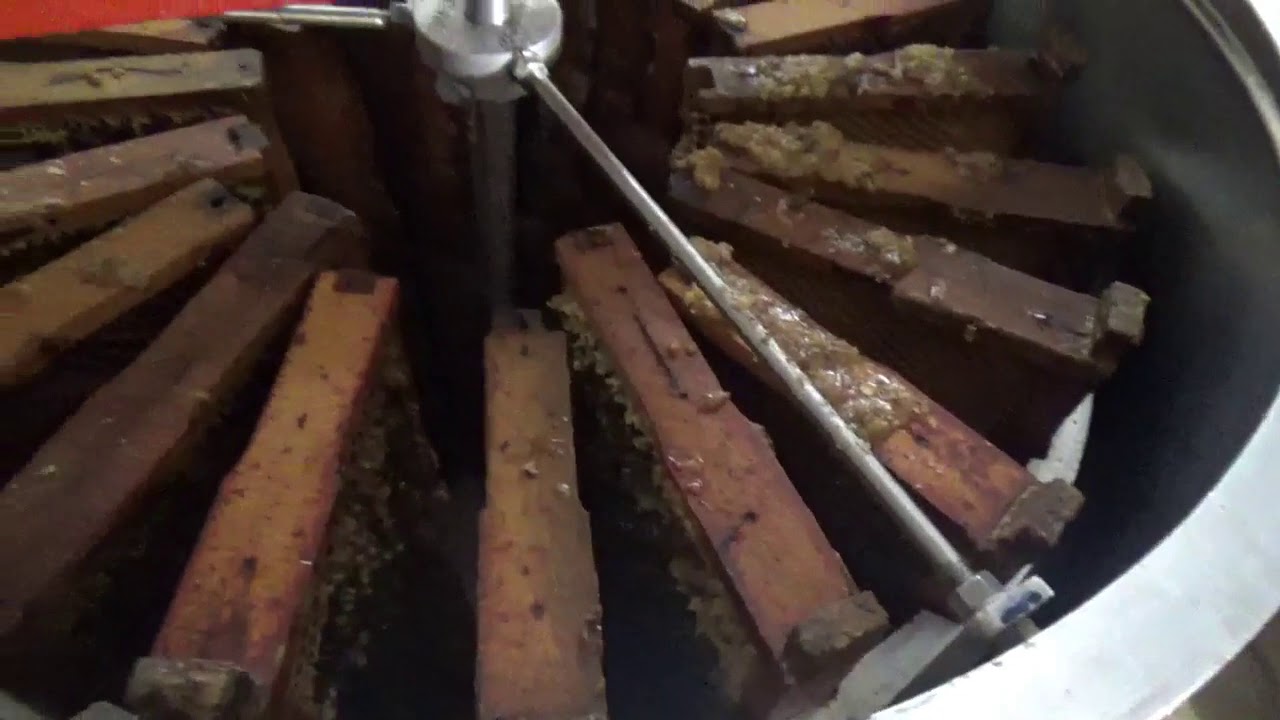 Extracting Honey - How to Extract Honey & Clean Maxant Extractor