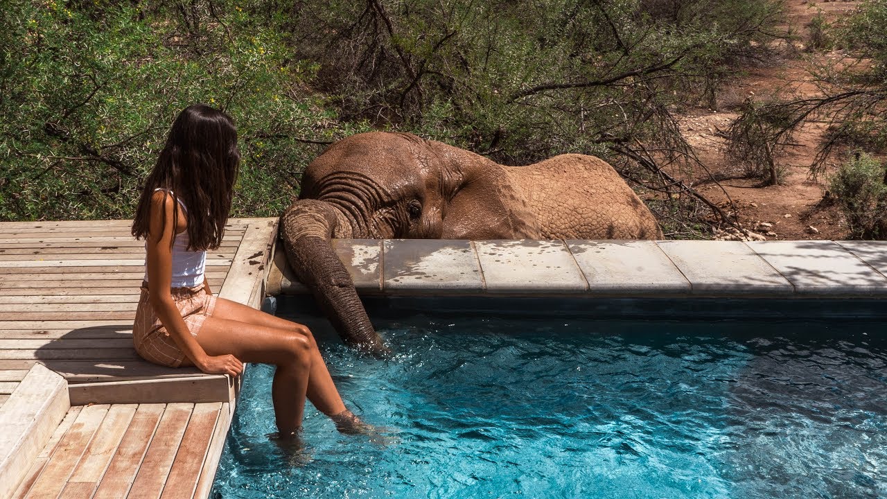 CAPE TOWN WILDLIFE SAFARI: Inverdoorn Private Game Reserve🐘🦁