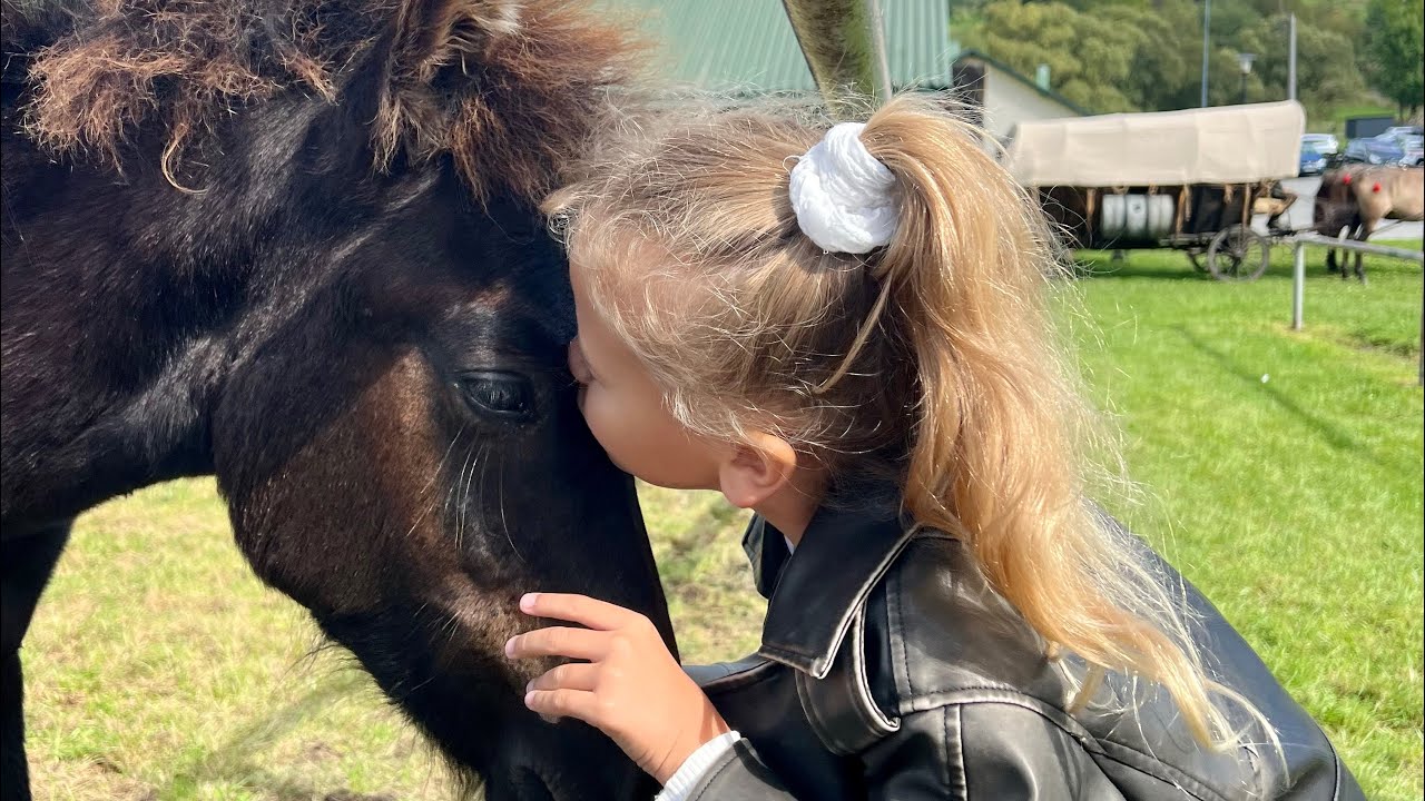 OBÓZ KONI SCHLEICH🐎🐎