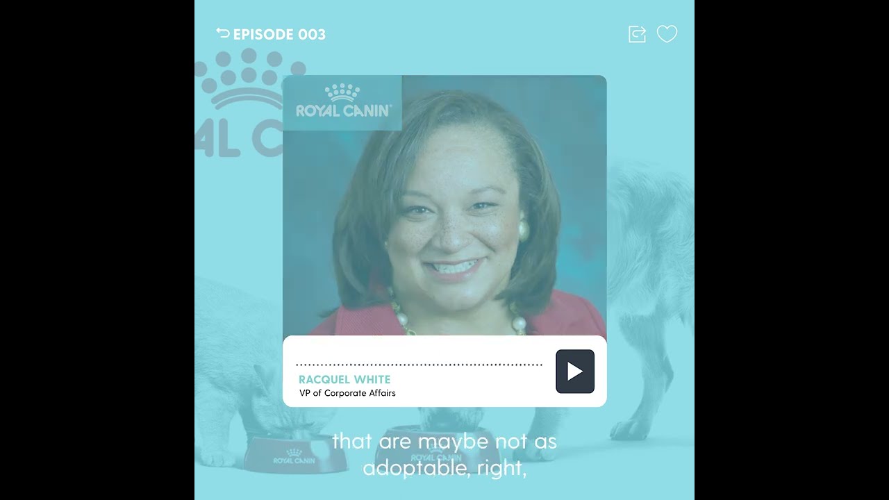 Royal Canin’s Racque White Discusses Their Petcare Marketing on The Good Minute | Bader Rutter