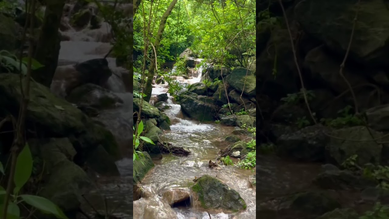 Margalla Hills Trail 5 Islamabad