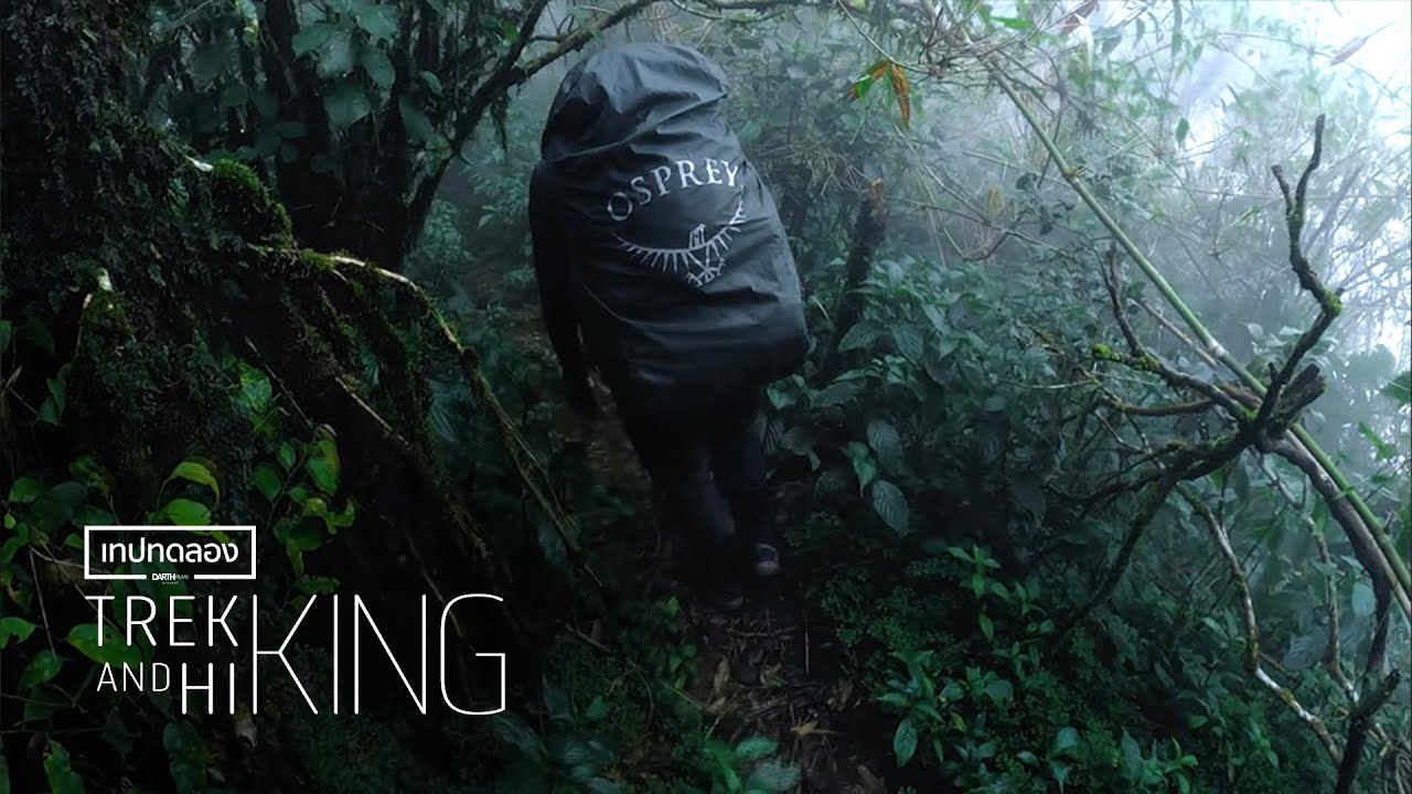 ป่าดึกดำบรรพ์ | Adventure