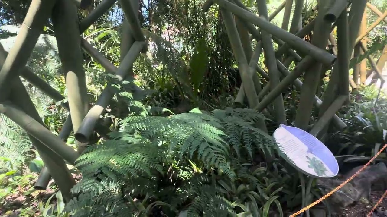 На мои сады вишнёвые налетели вьюги грозные … Кито🥀🌹🌺🌸