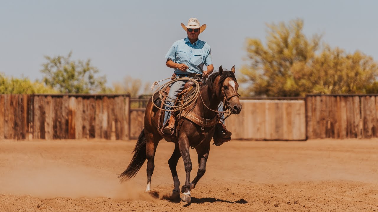 Мечта каждой команды Ropers с лошадьми Hershberger Performance🐴