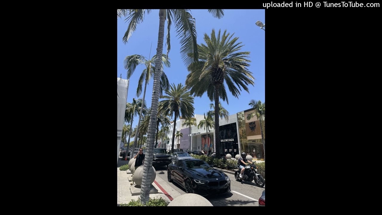 Beverly Hills Rodeo drive type beat