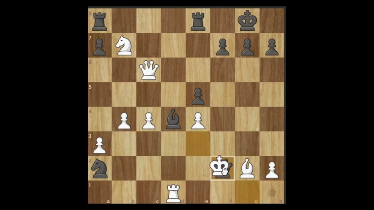 Chess match WHITE LOST THE GAME guess the flaws