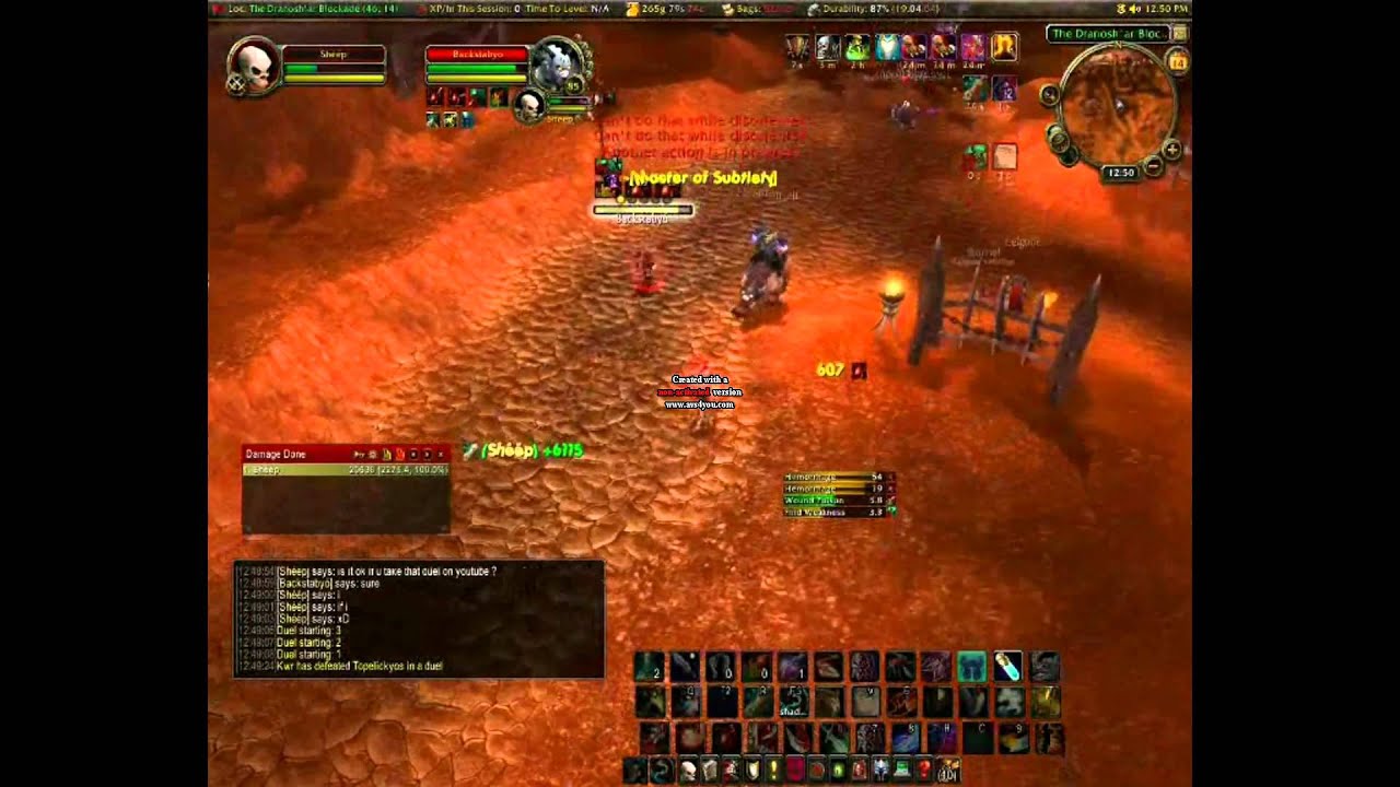 Sublety rogue pvp 4.2
