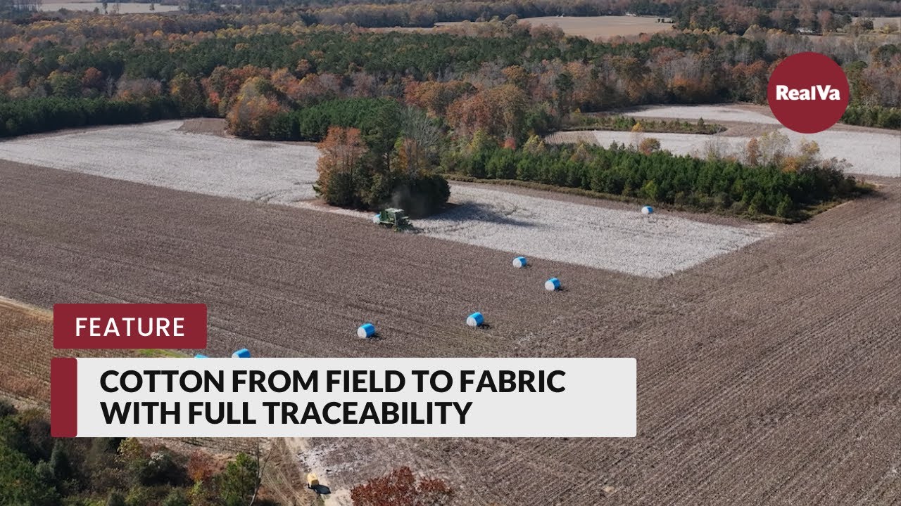 Cotton from Field to Fabric with Full Traceability