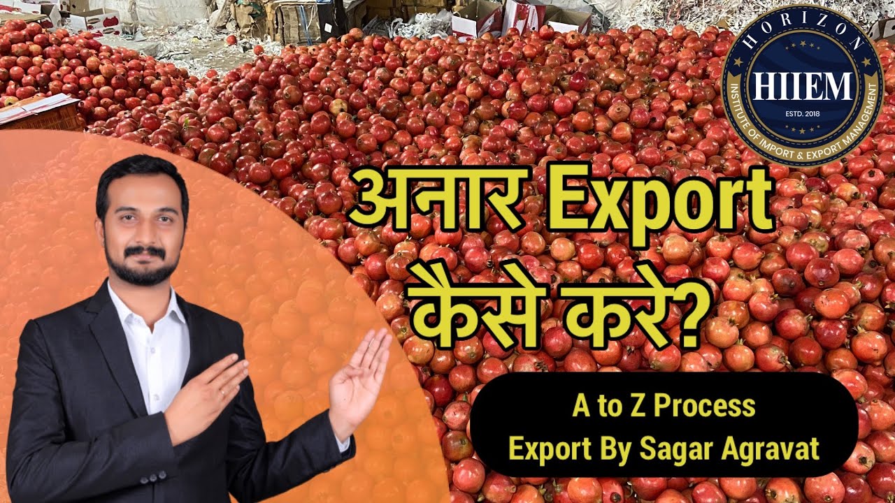 How to Export Pomegranate | Anar Export | On Field and Practical Export By Sagar Agravat