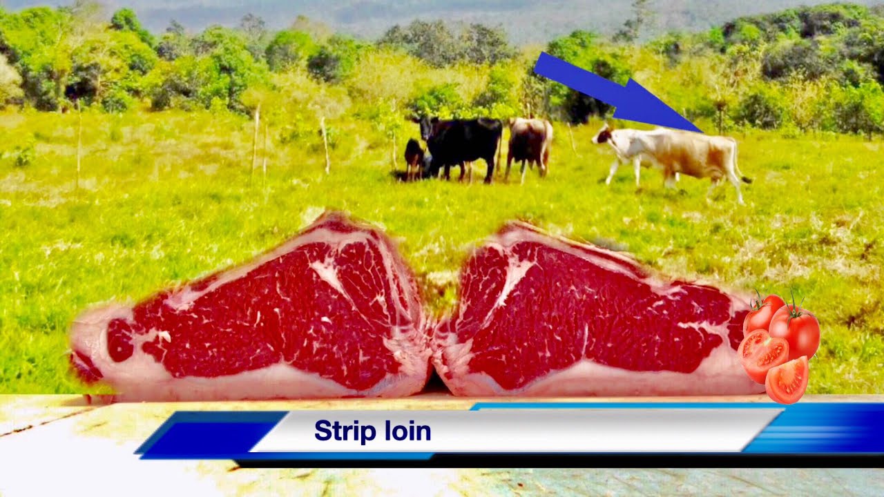 Como cortar un  New York strip loin” Como cortar un shell steak ! Los mejores cortes de carne de ny