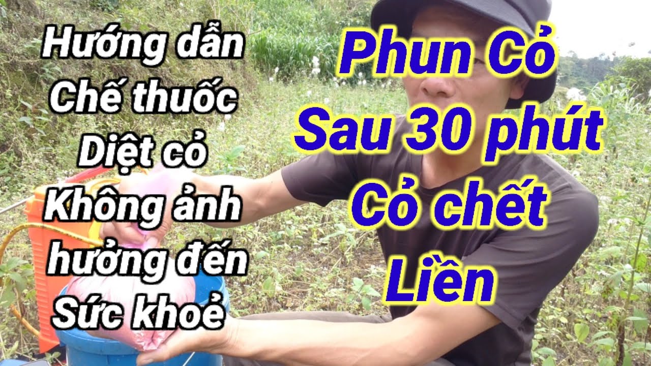 Hướng dẫn cách chế thuốc diệt cỏ dại, (ít hải đến sức khỏe)