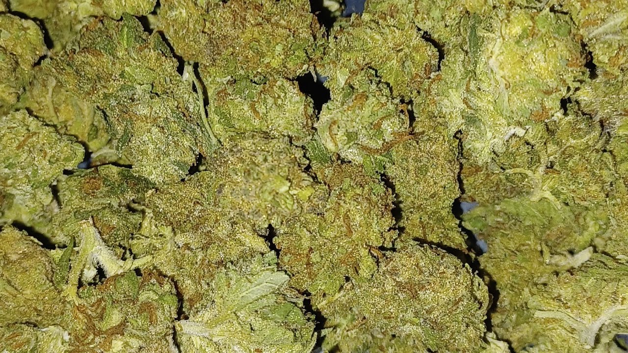 Mimosa, JK Distro budget ounce. Is it an ounce, or is it short?