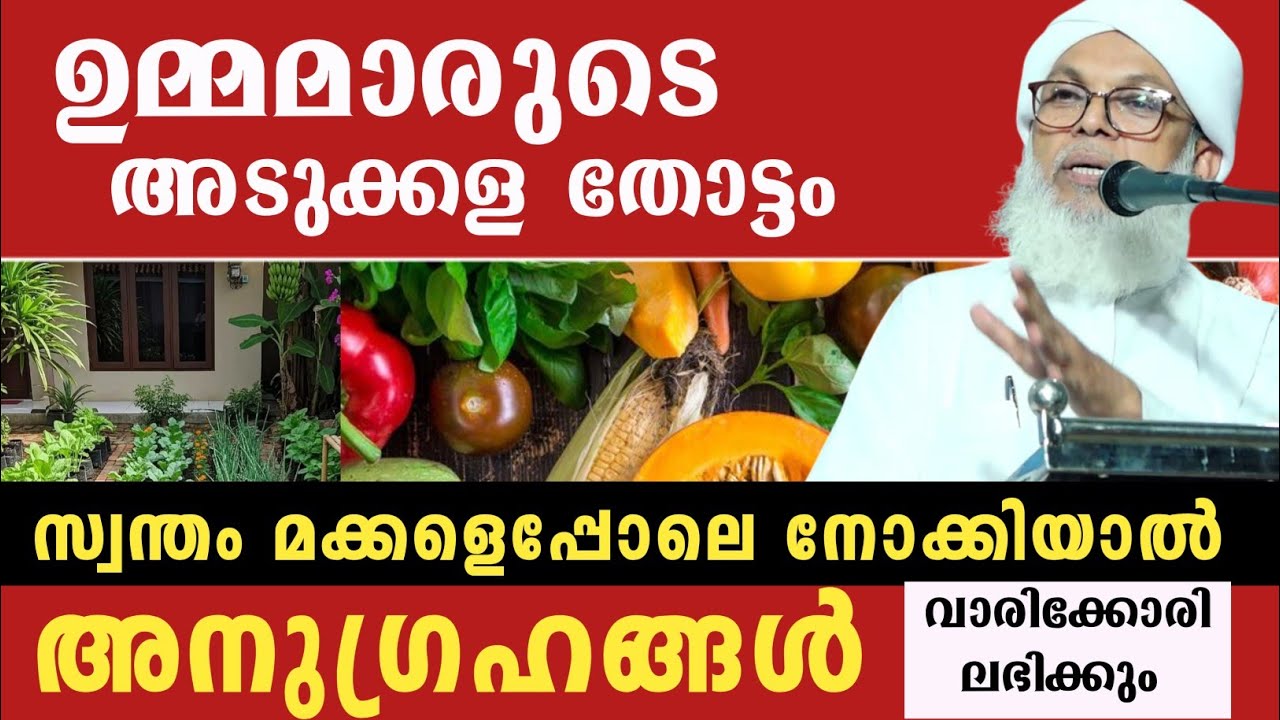ഉമ്മമാരുടെ അടുക്കള തോട്ടം | കൂറ്റമ്പാറ ഉസ്താദ്
