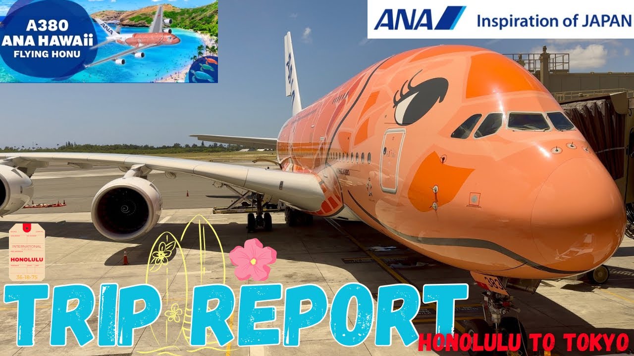 TRIP REPORT | ANA A380 ‘Flying Honu’ | Hawaii to Japan !