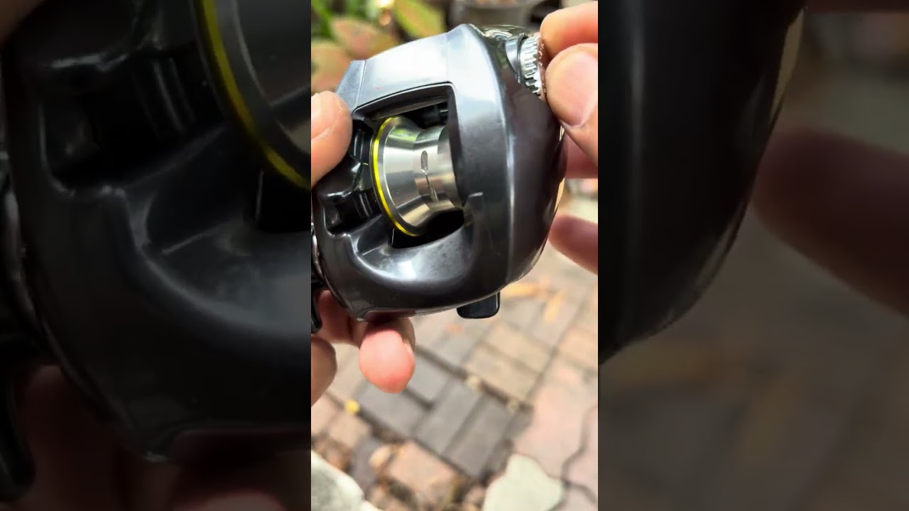 Daiwa mag force v