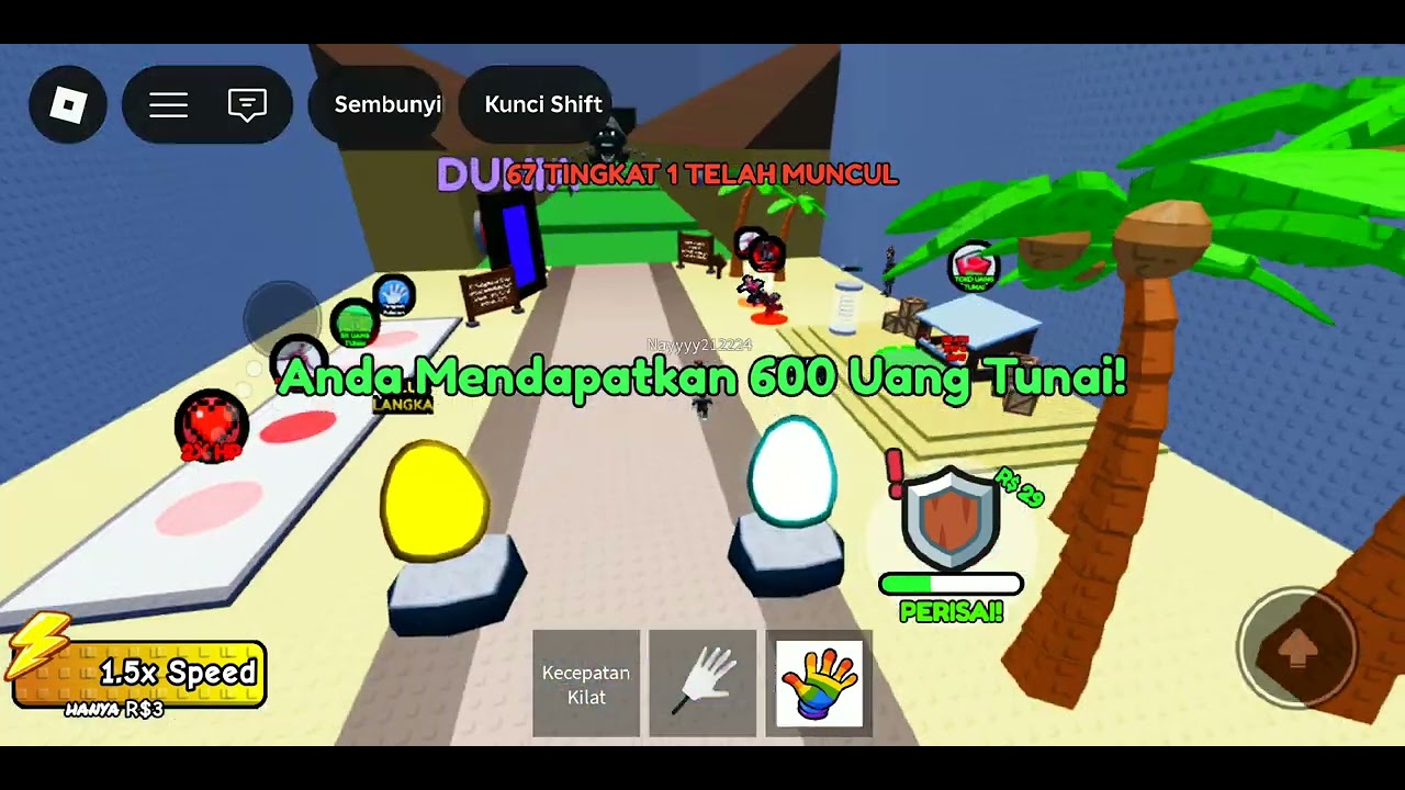 Main roblox di kejar 67